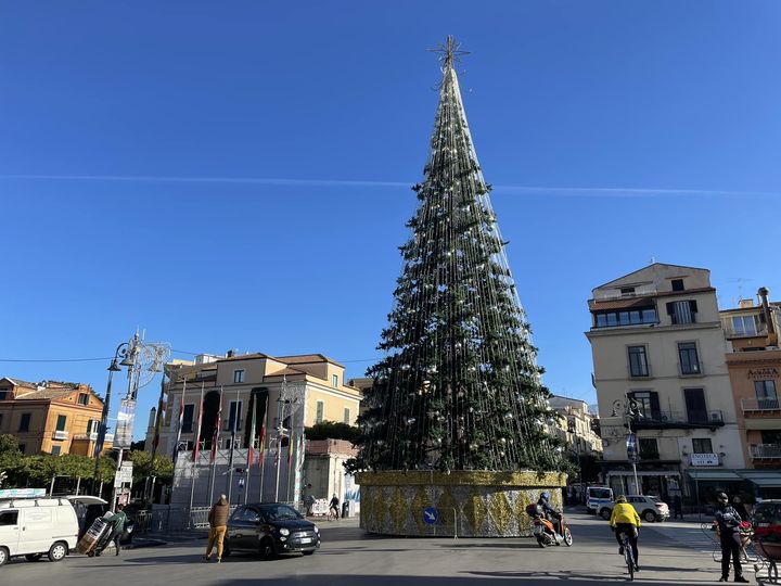 L'albero in piazza Tasso